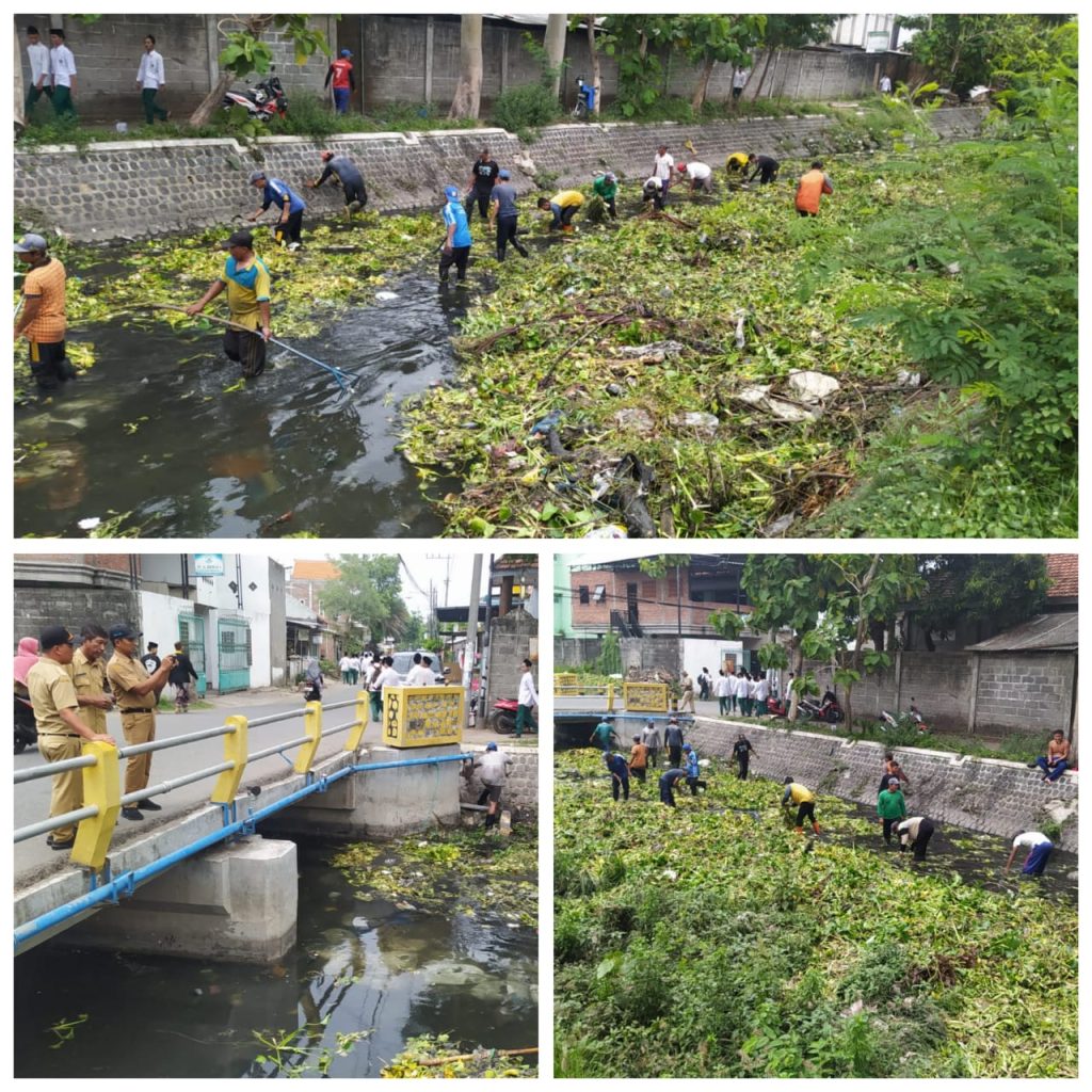 upload_3d6f3664653ec12f7b74a476462f363d (1)