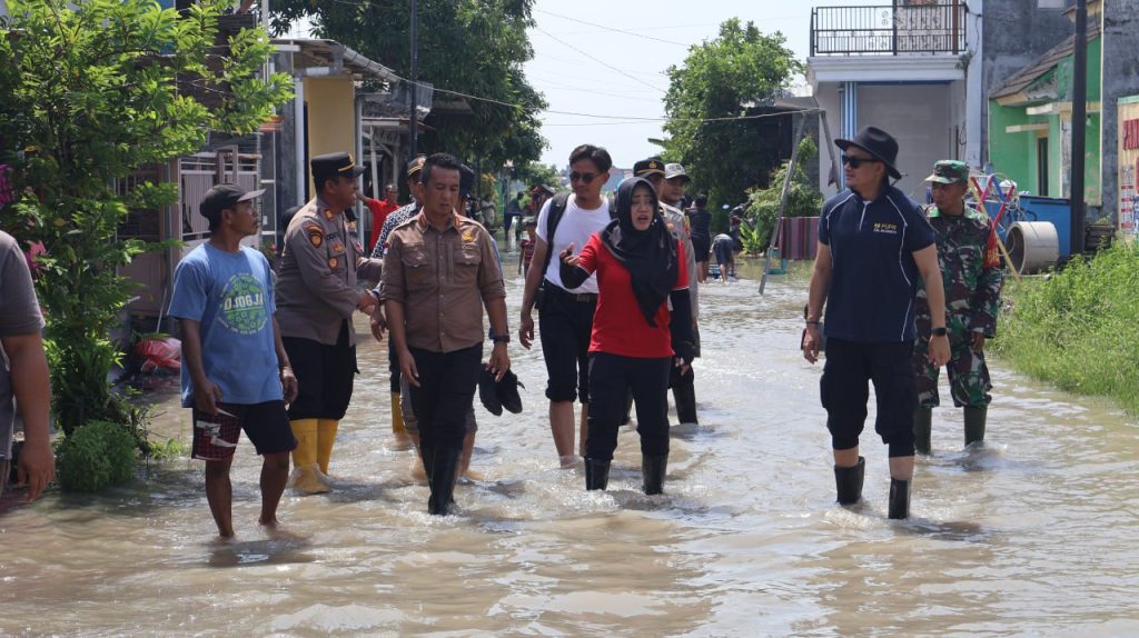 photo_13_2024-03-08_22-29-42