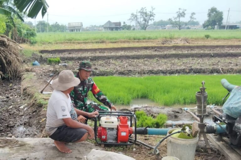 Wujudkan Hanpangan, Sinergi TNI dan Petani Optimalkan Pompanisasi