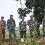 Tinjau Lokasi Penanaman Padi, Dandim 0815/Mojokerto Beri Dukungan Penuh Peningkatan Produktivitas Hanpangan