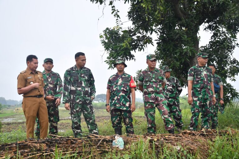 Tinjau Lokasi Penanaman Padi, Dandim 0815/Mojokerto Beri Dukungan Penuh Peningkatan Produktivitas Hanpangan