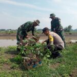 Program Penghijauan Sekaligus Antisipasi Banjir, Koramil 0815/10 Bangsal Tanam 225 Pohon di Desa Tinggarbuntut