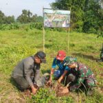 Tingkatkan Kepedulian Lingkungan, Koramil 0815/02 Trowulan Bareng KPH Jombang dan Pemdes Pakis Tanam 250 Pohon