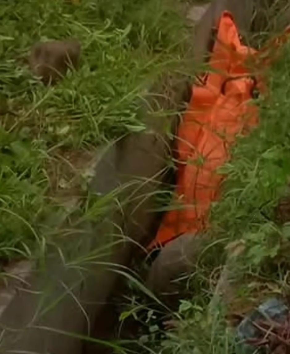 Screenshot_20250214-142845