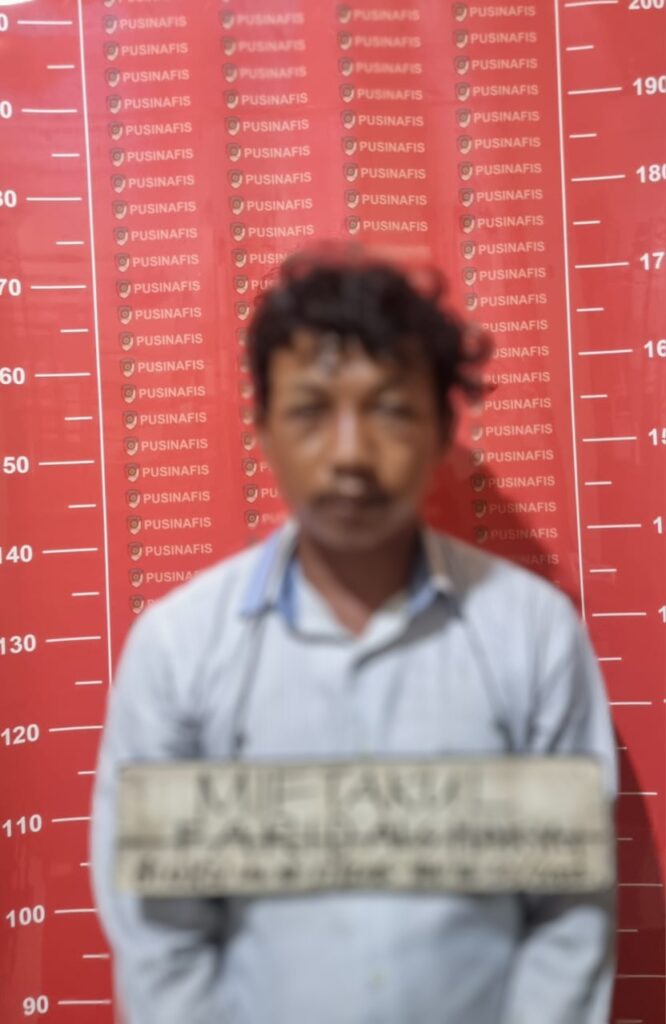 IMG-20250315-WA0095~2