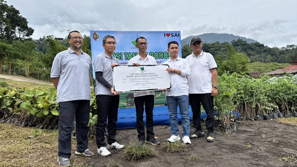 IMG_9033_copy_2016x1134