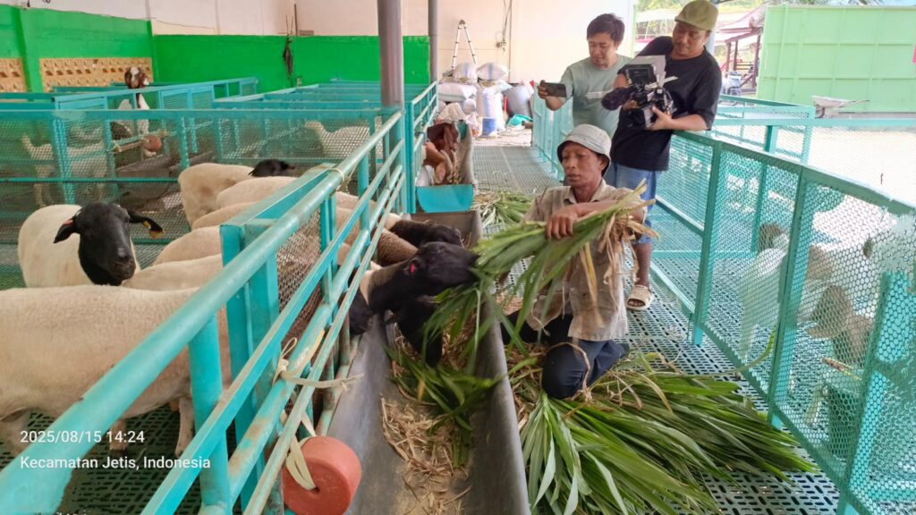 IMG-20250816-WA0007~2