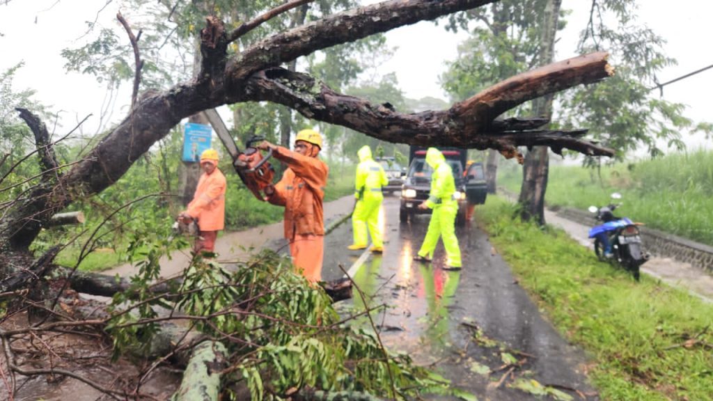 Pohon Tumbang Akibat Angin Kencang Tutup Jalur Magetan–Bendo, Polisi dan BPBD Gerak Cepat