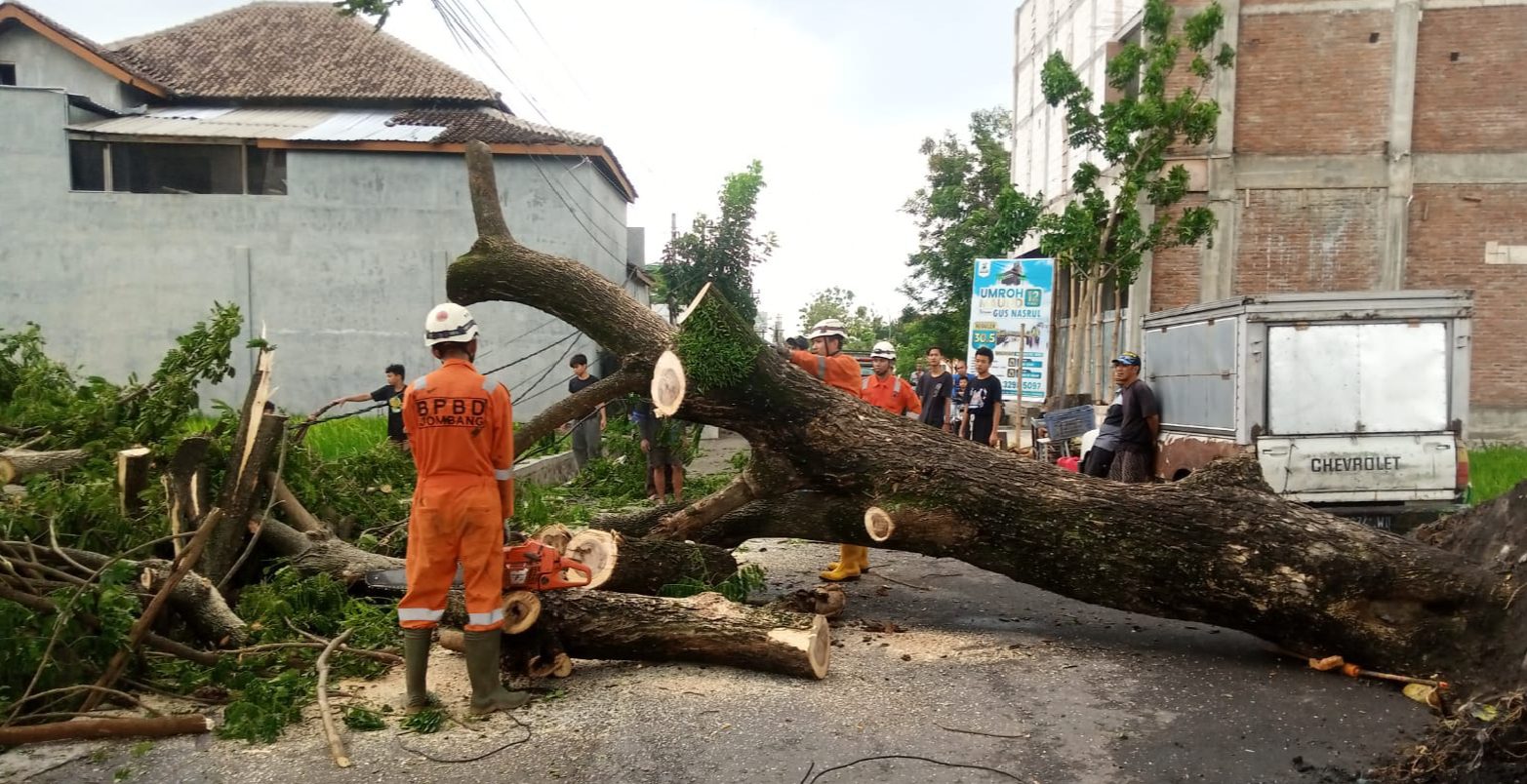 Hujan Deras dan Angin Kencang Terjang Jombang, Belasan Titik Terdampak, Sejumlah Rumah Rusak