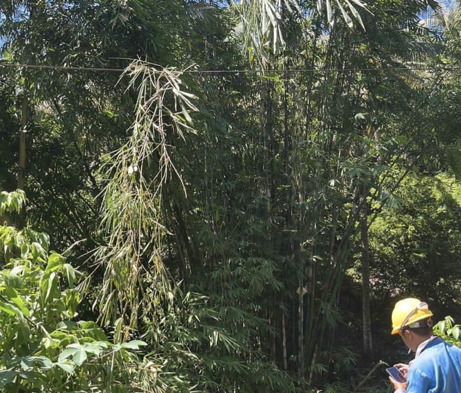 PLN Rayon Sampang Dikeluhkan Warga: Respons Lamban, Pemadaman Berulang Tanpa Pemberitahuan