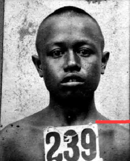 Jejak Katjoeng: Lelaki Bertanda Luka dari Jatibarang yang Hilang di Suriname