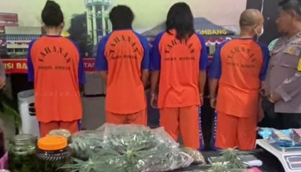 Ternyata Peneliti Ganja Dan Residivis Lima Kali Yang Jadi Otak Kebun Ganja di Rumah Kontrakan Jombang