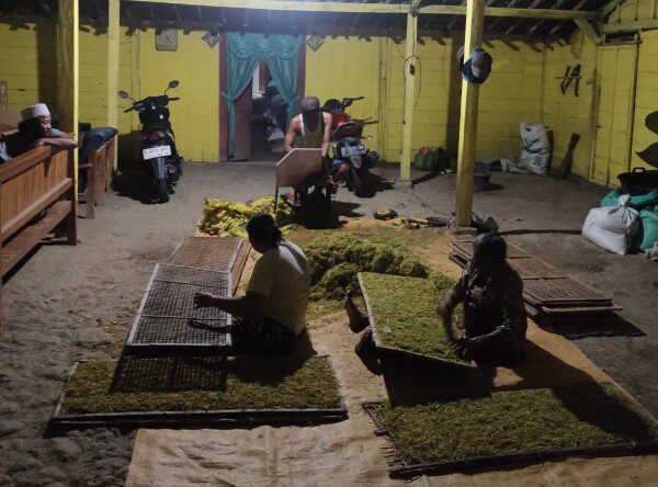 Pemkab Bojonegoro Salurkan BLT DBHCHT 2025 untuk 18.695 Buruh Rokok dan Tani Tembakau