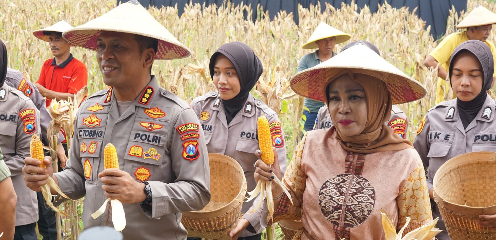 Panen Jagung Tanggulangin, Bukti Sinergi Jaga Ketahanan Pangan