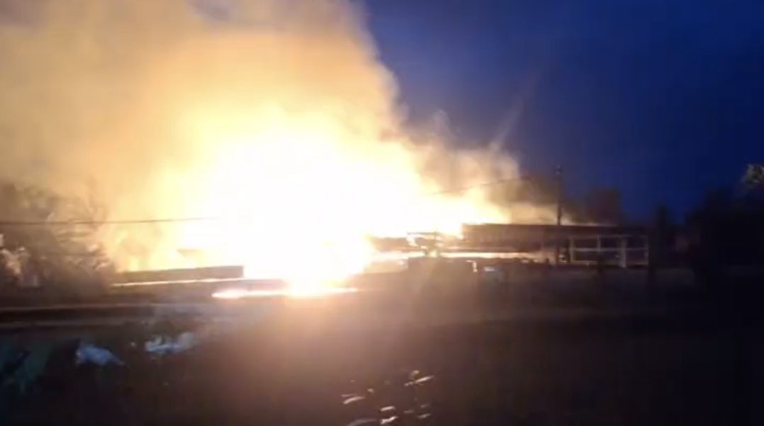 Kronologi Kebakaran Kandang Ayam di Jatirejo Mojokerto, Diduga Berasal dari Oven LPG