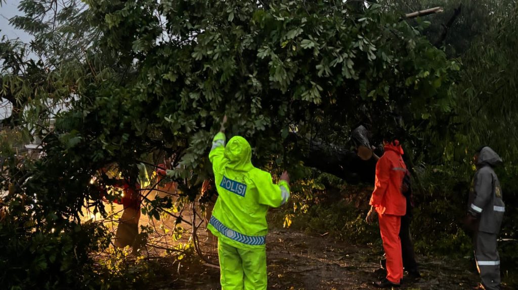 Respons Cepat Polisi, Jalan Antar Desa di Pungging Kembali Normal Usai Pohon Tumbang