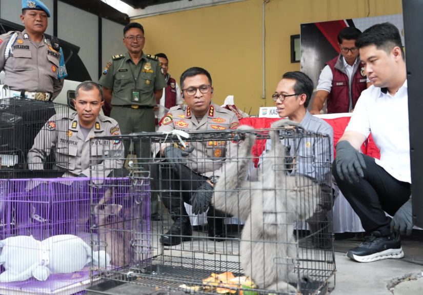 Polresta Sidoarjo Bongkar Perdagangan Satwa Dilindungi, Pria Krembung Ditangkap