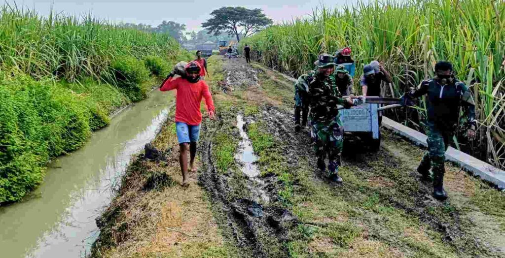 IMG-20260402-WA0016~2