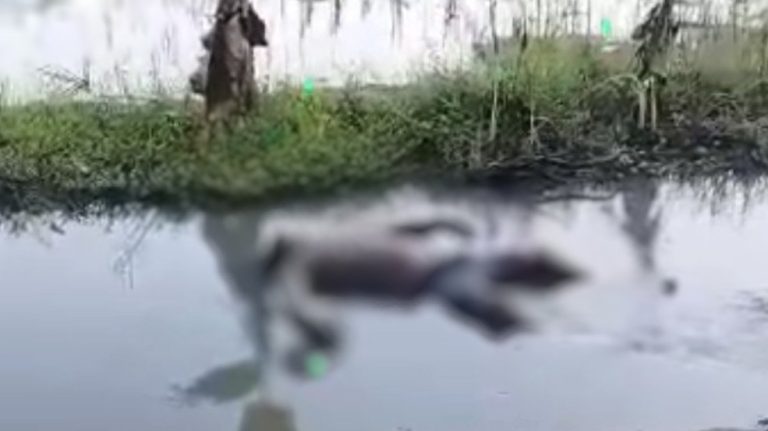 Lansia Ditemukan Mengapung di Sungai Jombang, Diduga Meninggal karena Sakit