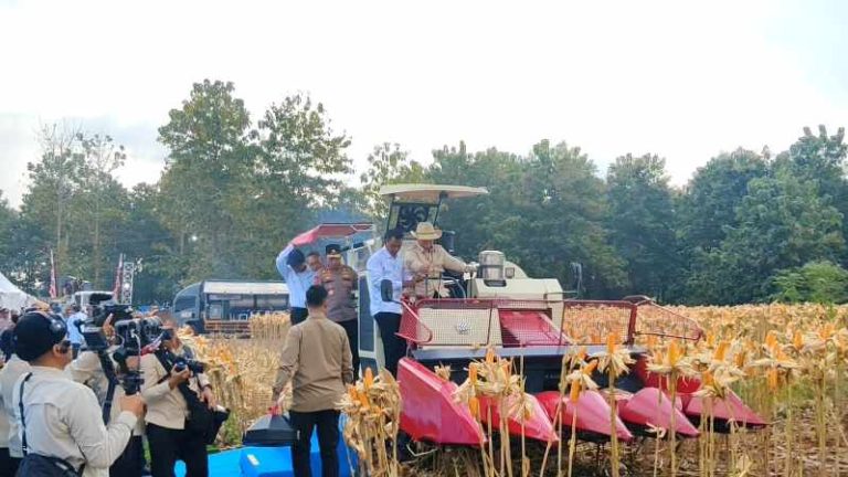Panen Raya Jagung di Tuban, Presiden Prabowo dan Kapolri Tegaskan Komitmen Wujudkan Kedaulatan Pangan
