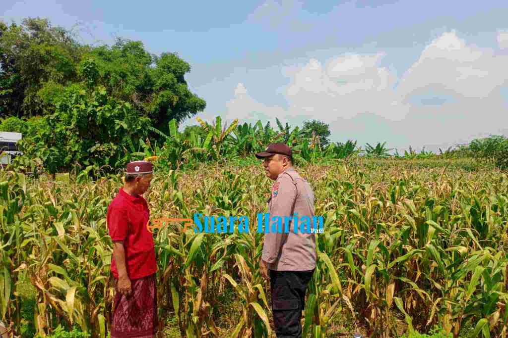 GridArt_20260607_074038716 (2)