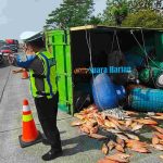 Diduga Pecah Ban, Truk Pengangkut Ikan Terbalik di Tol Jombang-Mojokerto