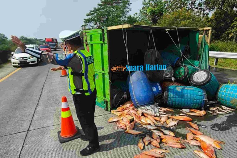 Diduga Pecah Ban, Truk Pengangkut Ikan Terbalik di Tol Jombang-Mojokerto