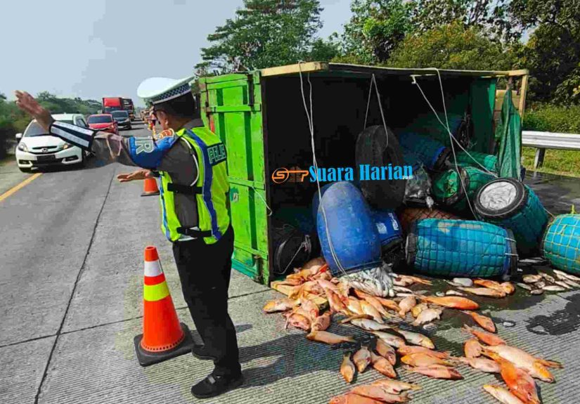 Diduga Pecah Ban, Truk Pengangkut Ikan Terbalik di Tol Jombang-Mojokerto