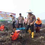 Polri dan Petani Bersinergi, Kapolres Mojokerto Tanam Jagung Serentak di Lahan TKD Kalipuro