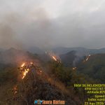 GridArt_20260824_162646478