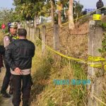Mayat Pria Ditemukan di Pinggir Tol JoMo, Ternyata Warga Jombang