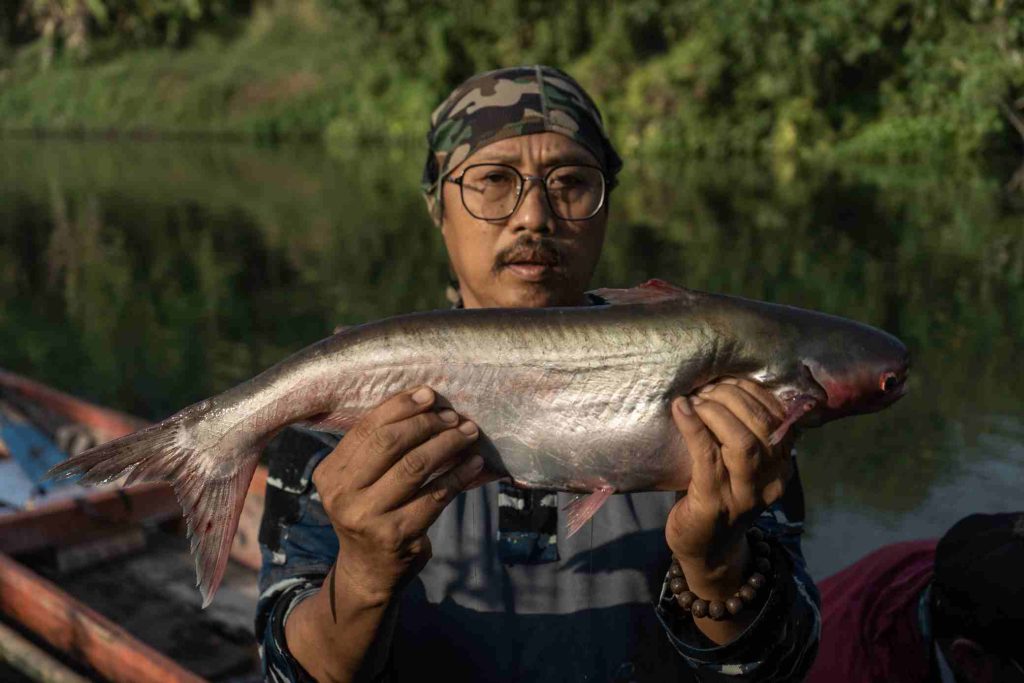 Pencemaran Kimia Ubah Gender 80% Ikan di Kali Surabaya, Ecoton dan Petrokimia Gelar Aksi Penyelamatan