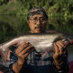 Pencemaran Kimia Ubah Gender 80% Ikan di Kali Surabaya, Ecoton dan Petrokimia Gelar Aksi Penyelamatan