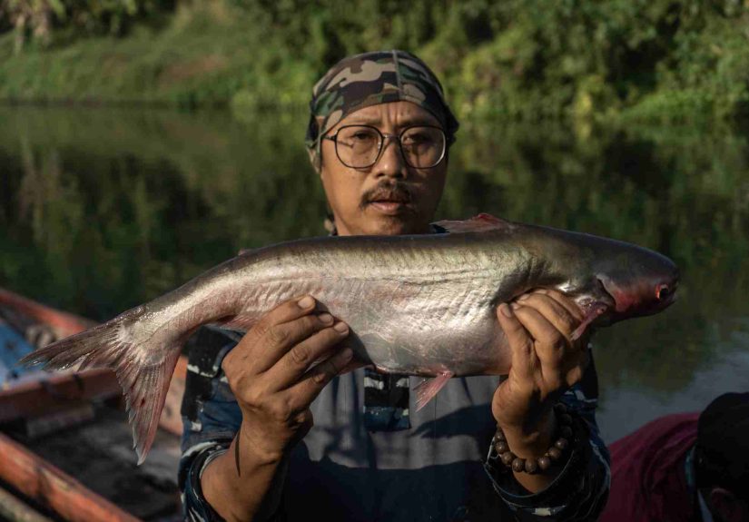 Pencemaran Kimia Ubah Gender 80% Ikan di Kali Surabaya, Ecoton dan Petrokimia Gelar Aksi Penyelamatan