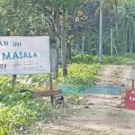 Hampir Setahun Ganti Rugi Lahan Jalan Tani Tak Dibayar, Warga Desa Peniti Ancam Tempuh Jalur Hukum